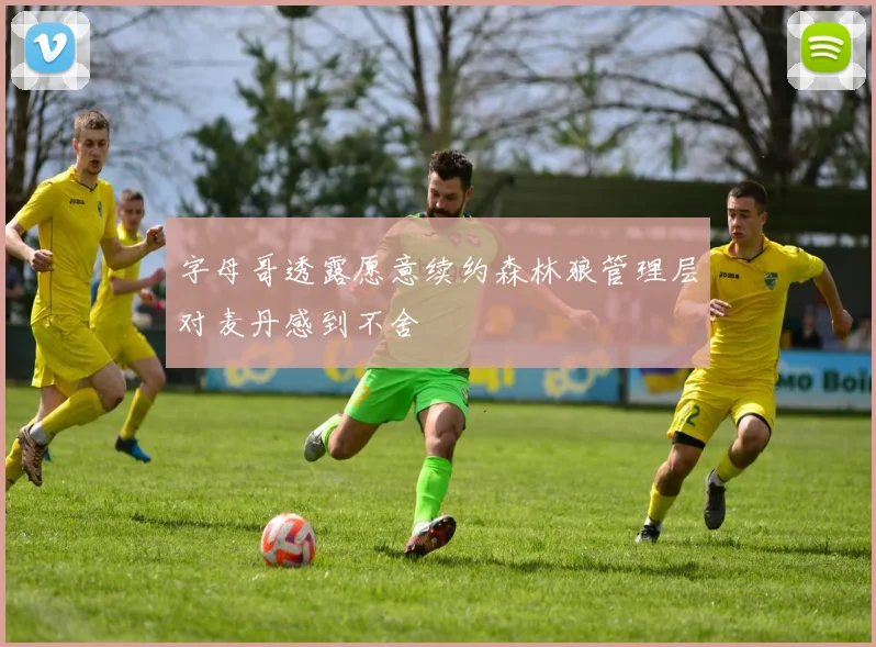 字母哥透露愿意续约森林狼管理层对麦丹感到不舍